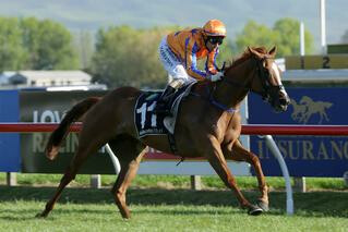 Te Akau Shark claiming the G3 Spring Sprint in jaw dropping fashion. Photo credit: Trish Dunell